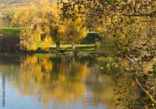 Fototapeta Naklejka Na Ścianę i Meble -  paysage d automne en provence