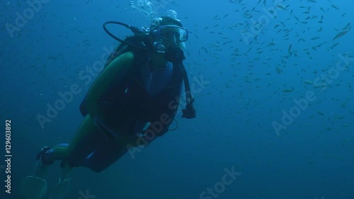 Wallpaper Mural Diver swims with a large school of fish tomates grunts, Haemulon aurolineatus, North Carolina, Aug. 2016 Torontodigital.ca