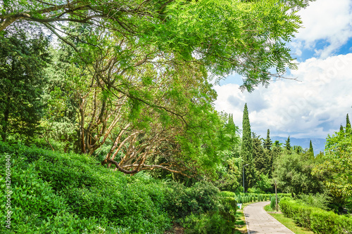 the Park of the Livadia Palace - the former southern residence of Russian emperors on the shores of the Black sea. The Village Of Livadia, Crimea, Russia