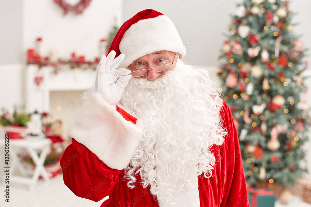 Santa Claus portrait Santa Claus portrait