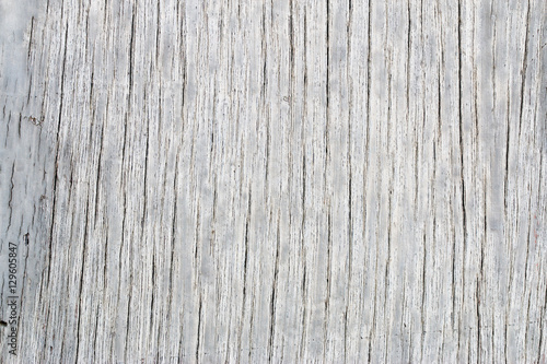 wood texture. background old panels