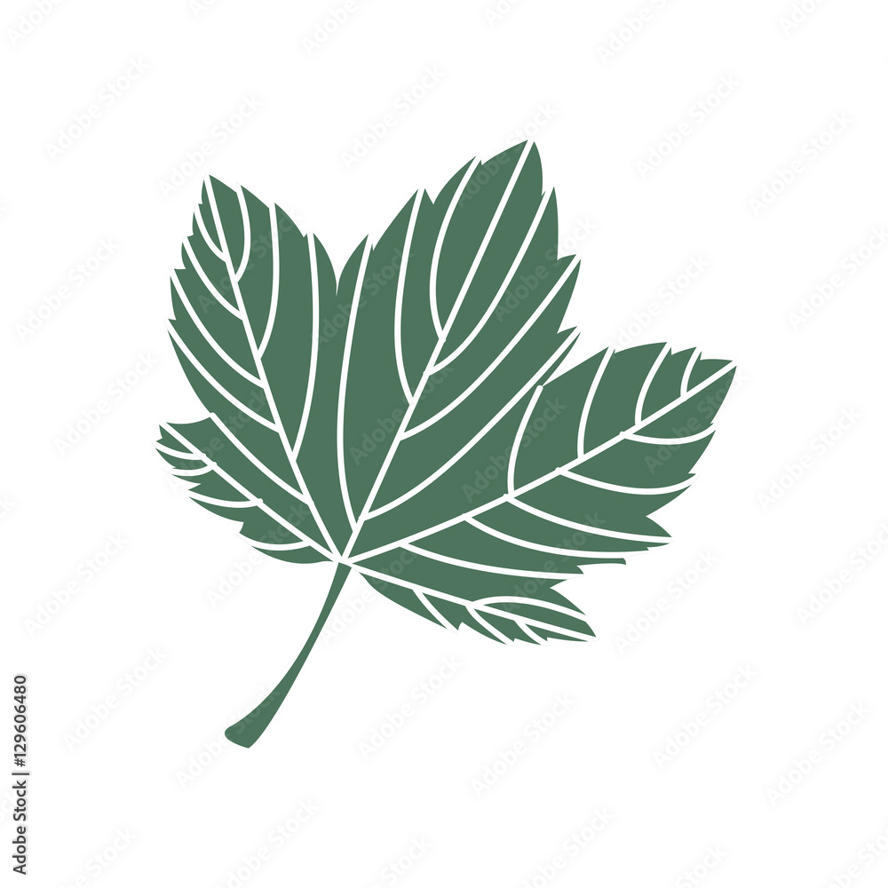 leaf plant silhouette icon vector illustration design