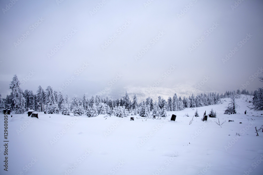 Winter landscape with snow covered forest Winter landscape with snow covered forest