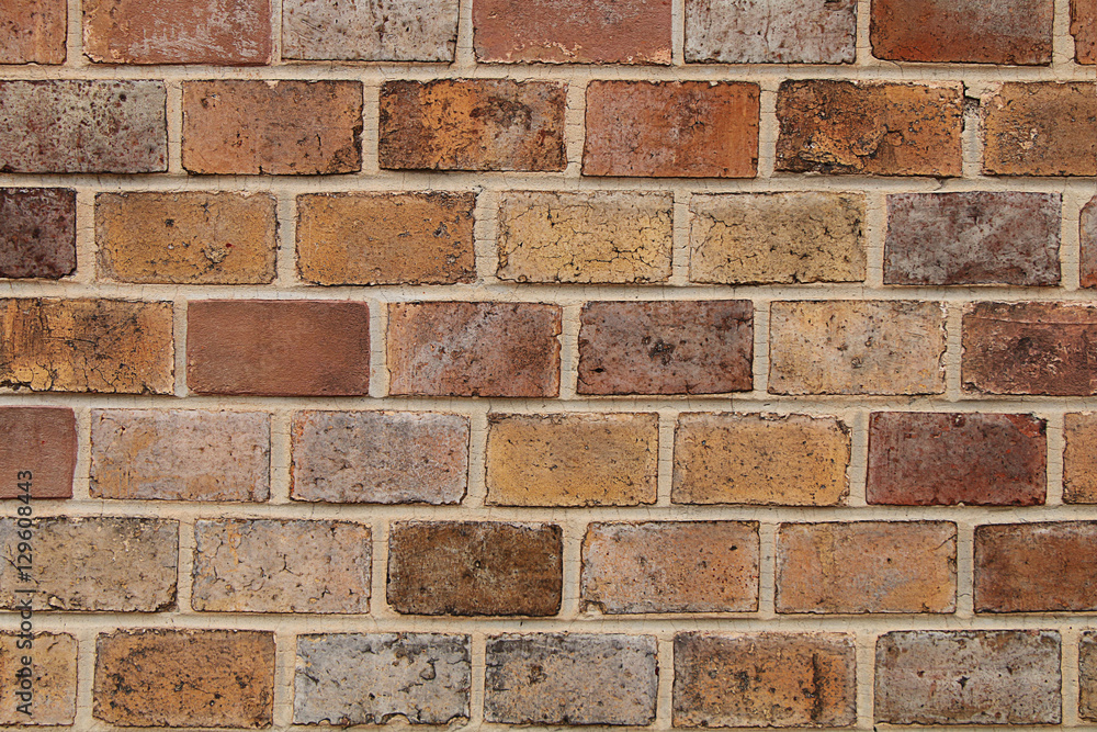 Texture - a wall of multicolored bricks in the natural environment.