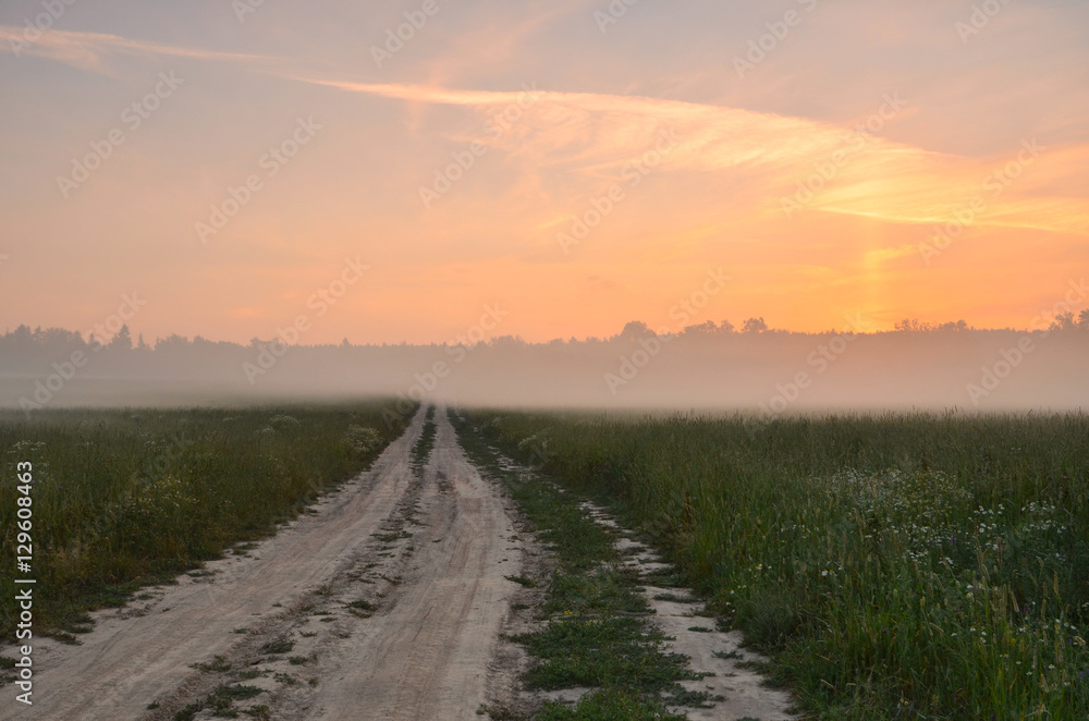 Country road at foggy morning