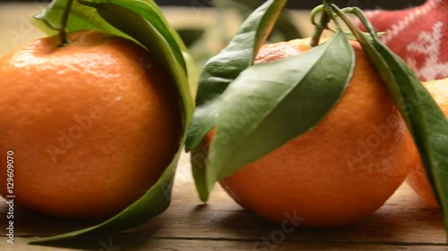 Citrus × tangerina يوسفي Tangerin Clementine 瓯柑 Nartjie Mandarini نارنگی Tangerine  photo