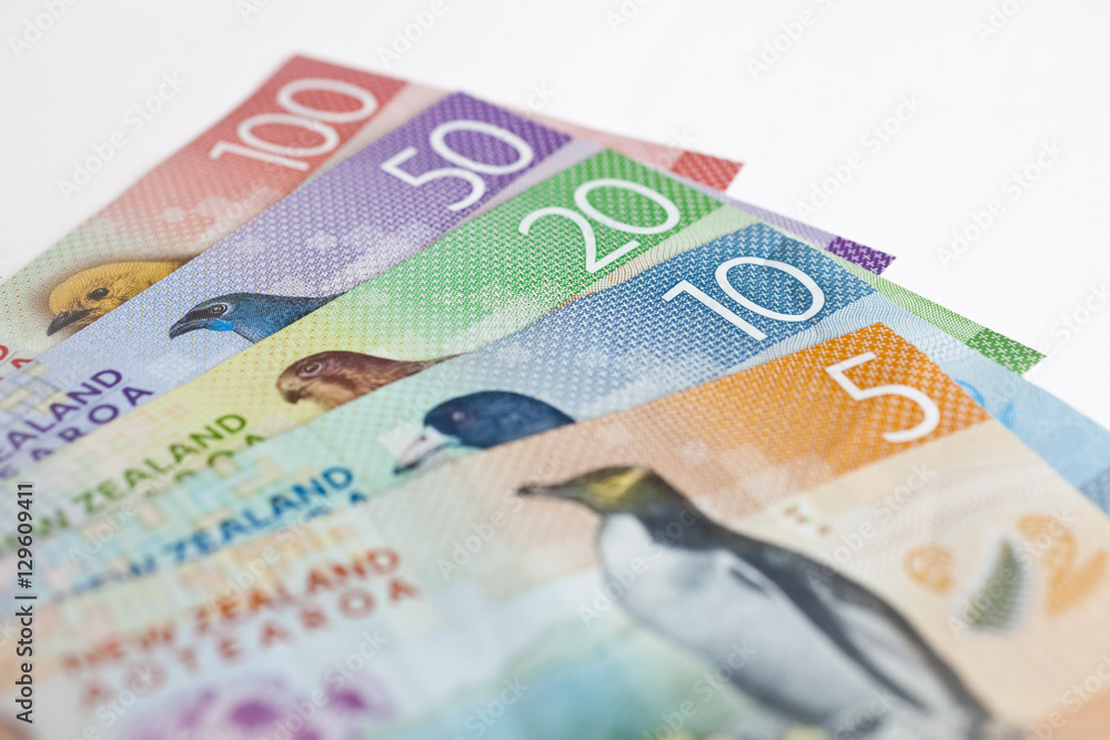 Fototapeta premium New Zealand money