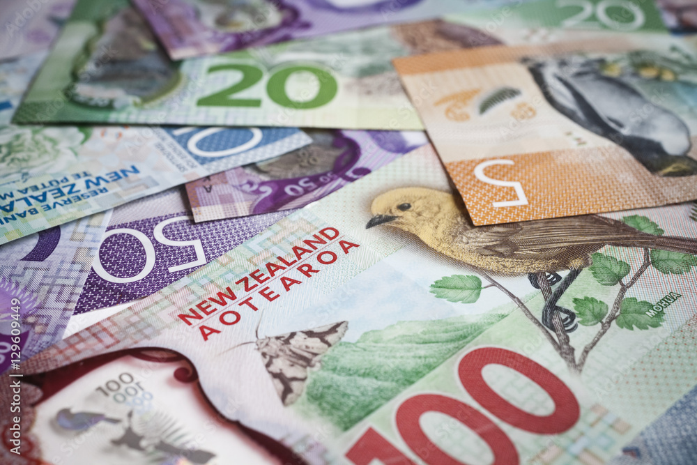 Obraz premium New Zealand money