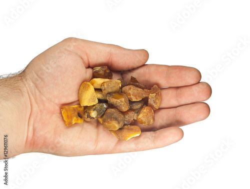 handful of large pieces of amber in palms on white background