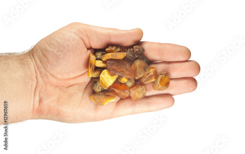 handful of large pieces of amber in palms on white background