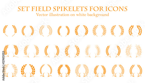 Ears of wheat or rice set icons. Agricultural spikelets   symbols on a white background. Organic farming farm crop seeds bread packaging  label beer. Vector.