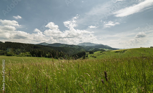 Meadow and hills