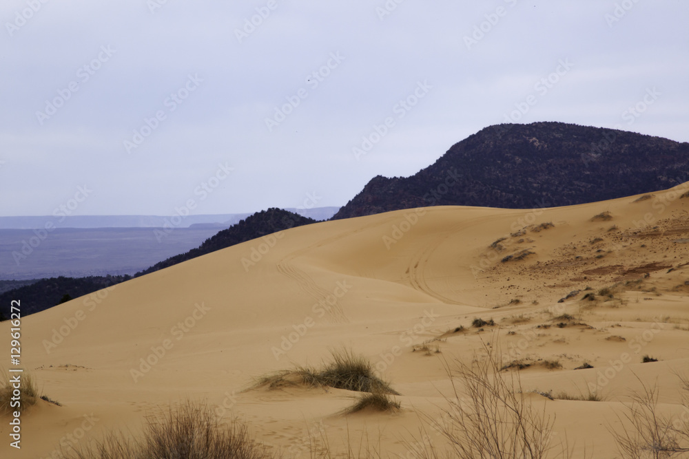 Sand dunes and mountain