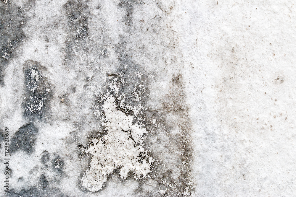Obraz premium white concrete wall texture