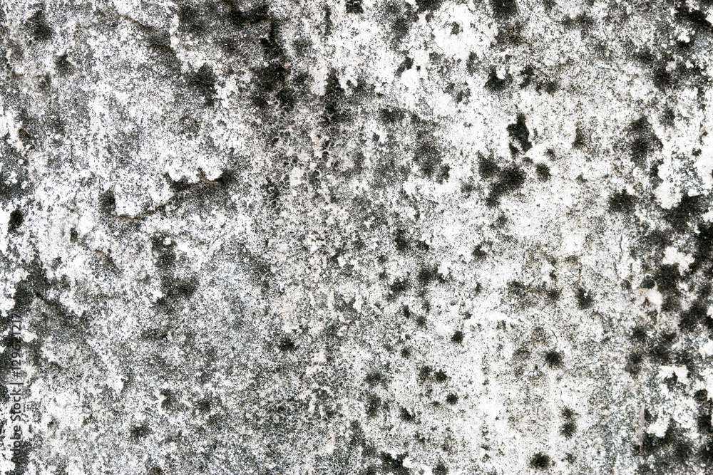 white concrete wall texture white concrete wall texture