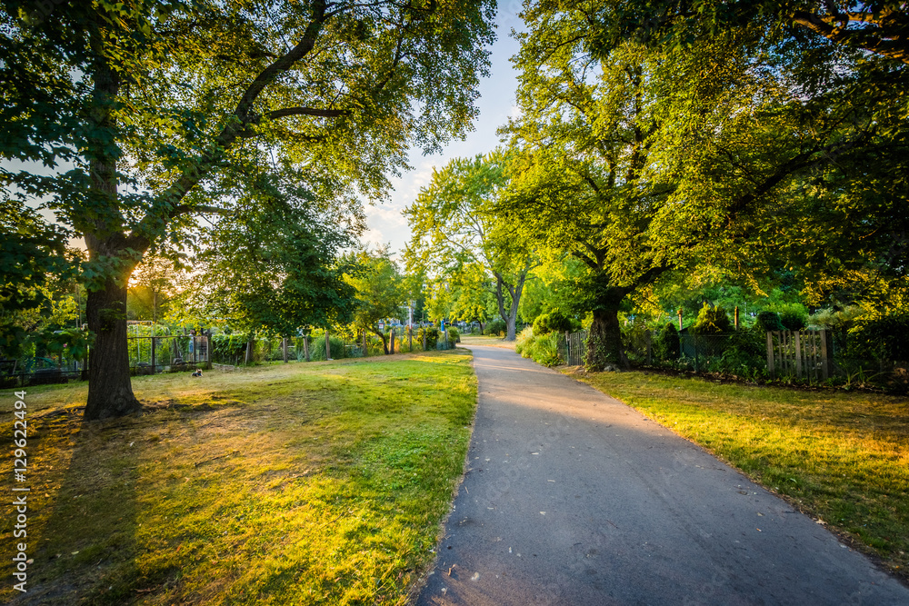 Walkway and gardens at sunset, at Back Bay Fens, in Boston, Mass Walkway and gardens at sunset, at Back Bay Fens, in Boston, Mass