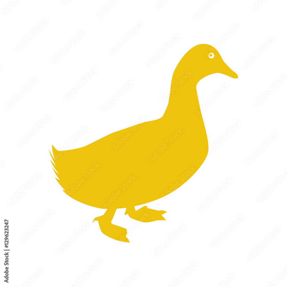 duck animal farm isolated icon vector illustration design duck animal farm isolated icon vector illustration design
