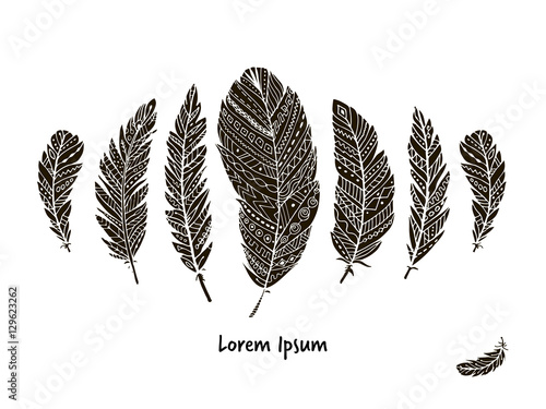 Feather collection for your design