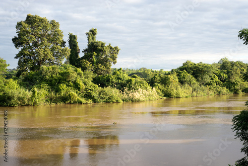 Streams and trees