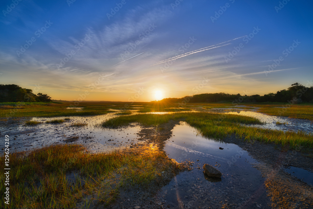 Wetlands Sunrise at Botany Bay Plantation 