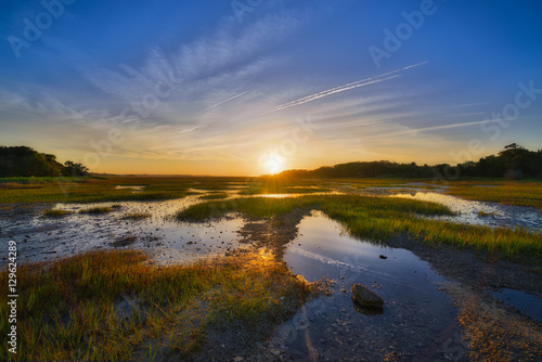 Wetlands Sunrise at Botany Bay Plantation Fototapet
