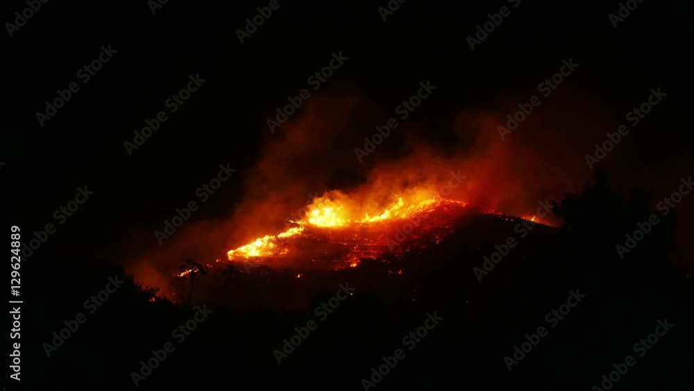Forest fire disaster, 4k Forest fire disaster, 4k