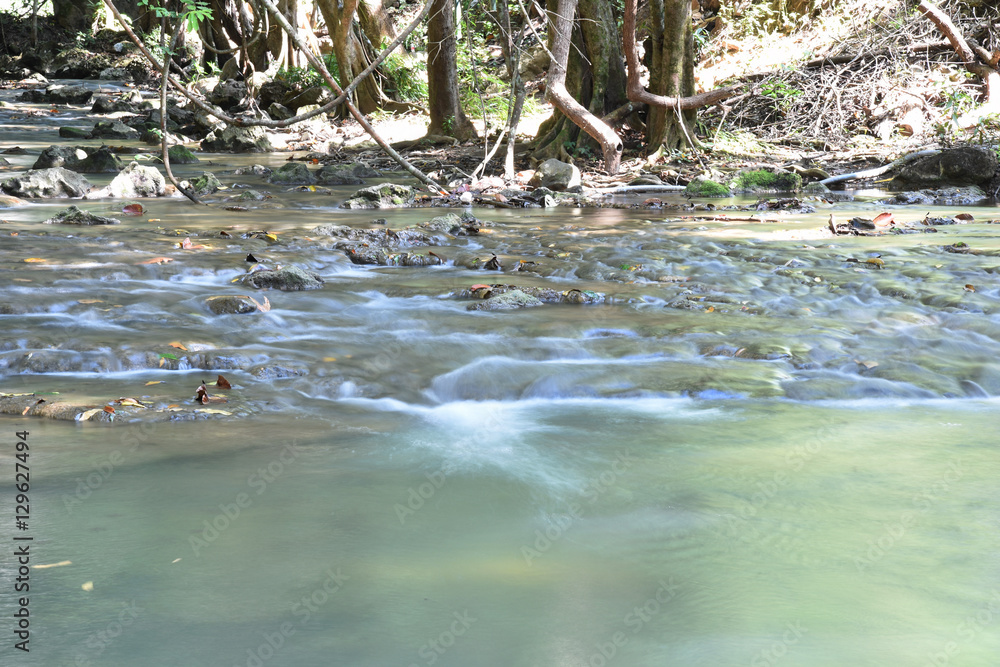 Obraz premium waterfall in forest