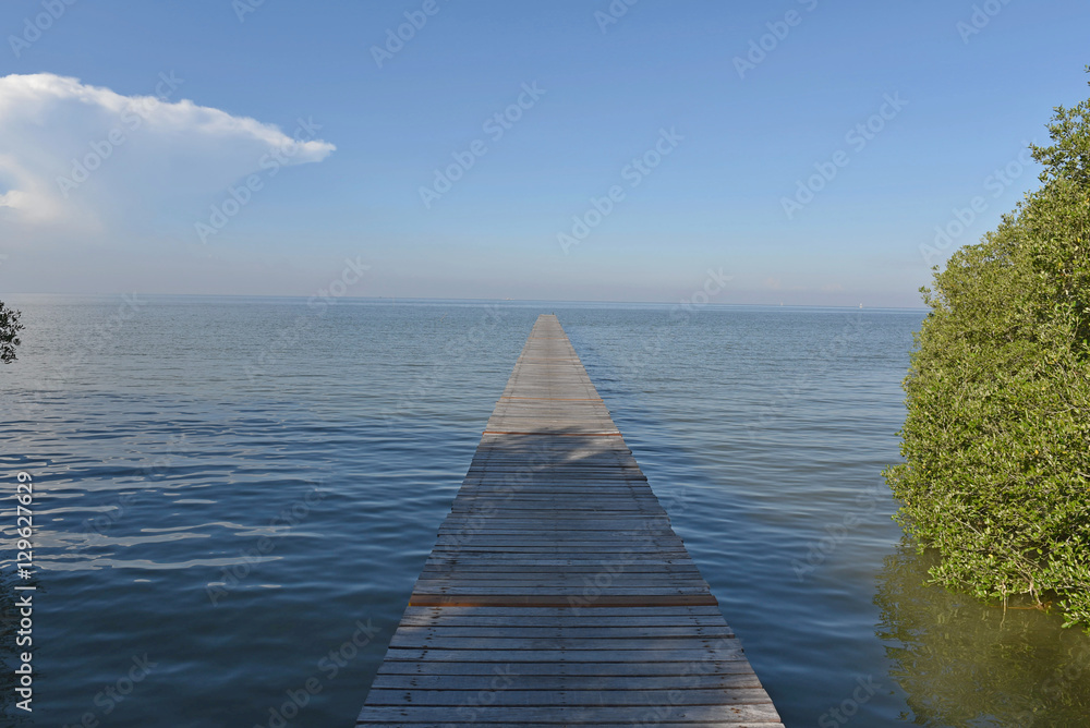 wooden walkway in sea