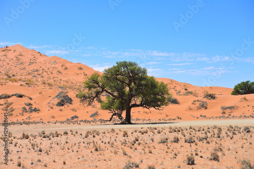 landscape in Namibia