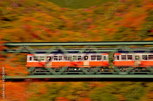 紅葉の箱根登山鉄道