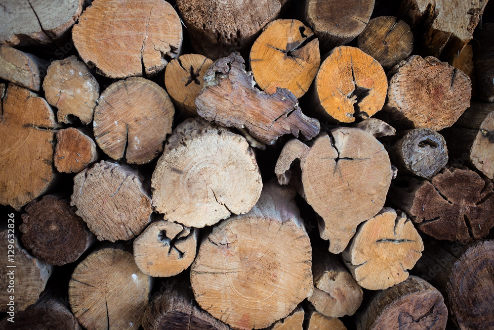 Round wood tree circle stump cutted background Round wood tree circle stump cutted background