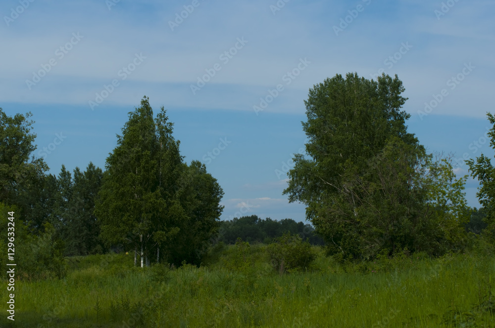 Against the background of the sky Against the background of the sky