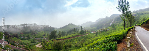 Panoramic view in Munnar in western Ghats, Kerala, Idukki district, India photo