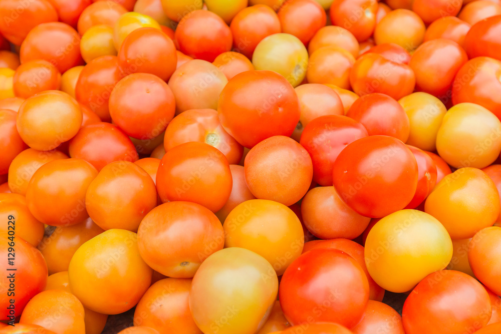 red tomatoes background. Group of tomatoes