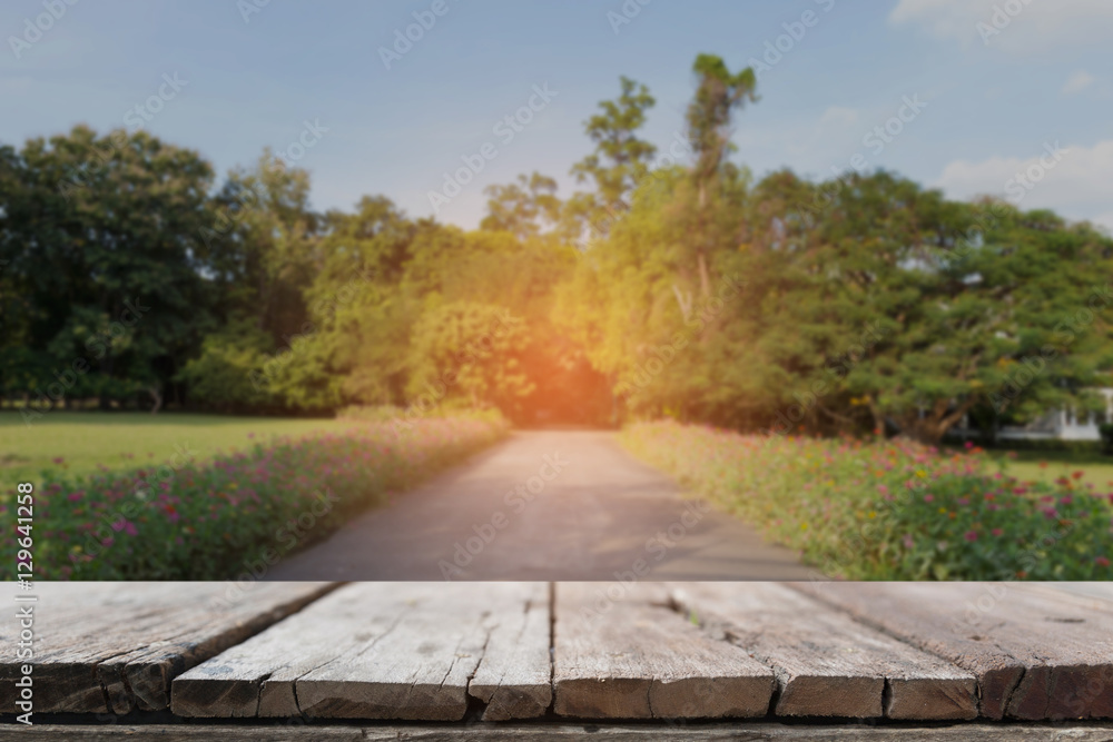 scenic road in park with beautiful flower along side scenic road in park with beautiful flower along side