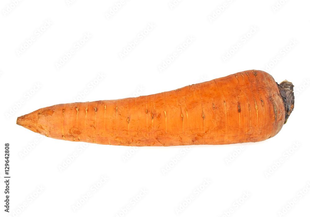 Carrot isolated on a withe background Carrot isolated on a withe background