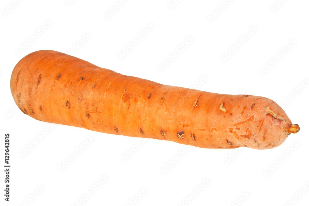 Carrot isolated on a withe background Carrot isolated on a withe background