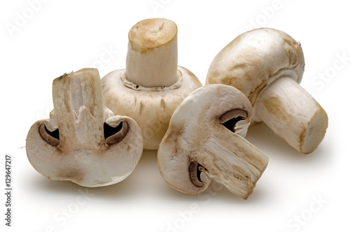 Half Mushroom and Two Mushroom