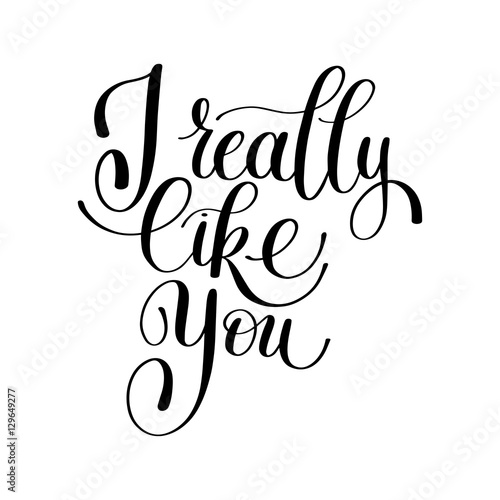 I Really Like You, Love Letter, English Handwritten Text Vector  photo