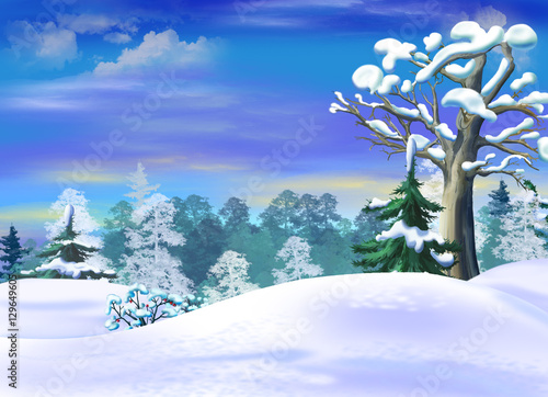 Snowdrifts  in a Winter Forest Clearing