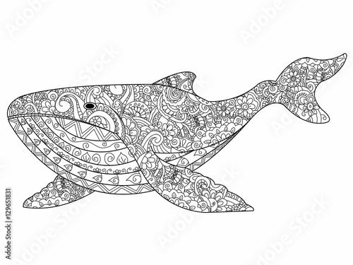 Whale coloring vector for adults