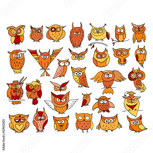 Set of funny owl collection for your design