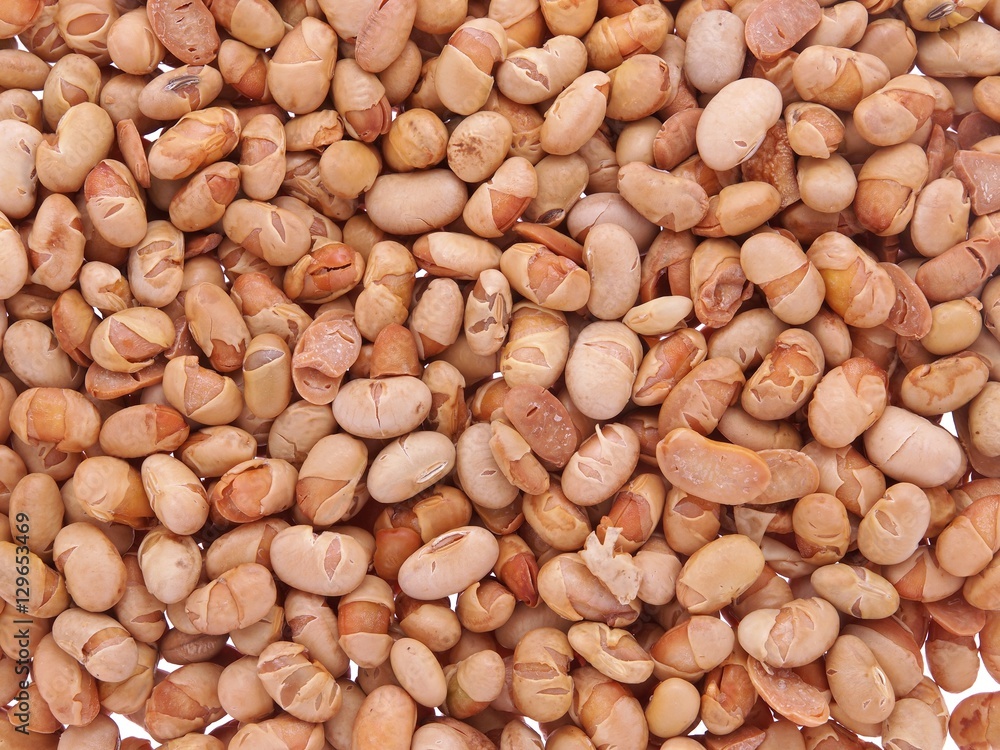 roasted soybeans roasted soybeans