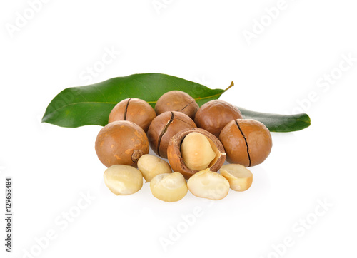 Macadamia nut on white background