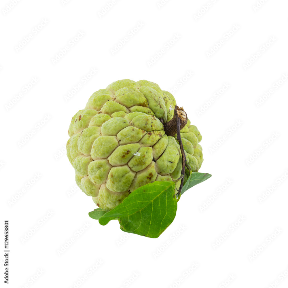 custard apple isolated on white background. custard apple isolated on white background.