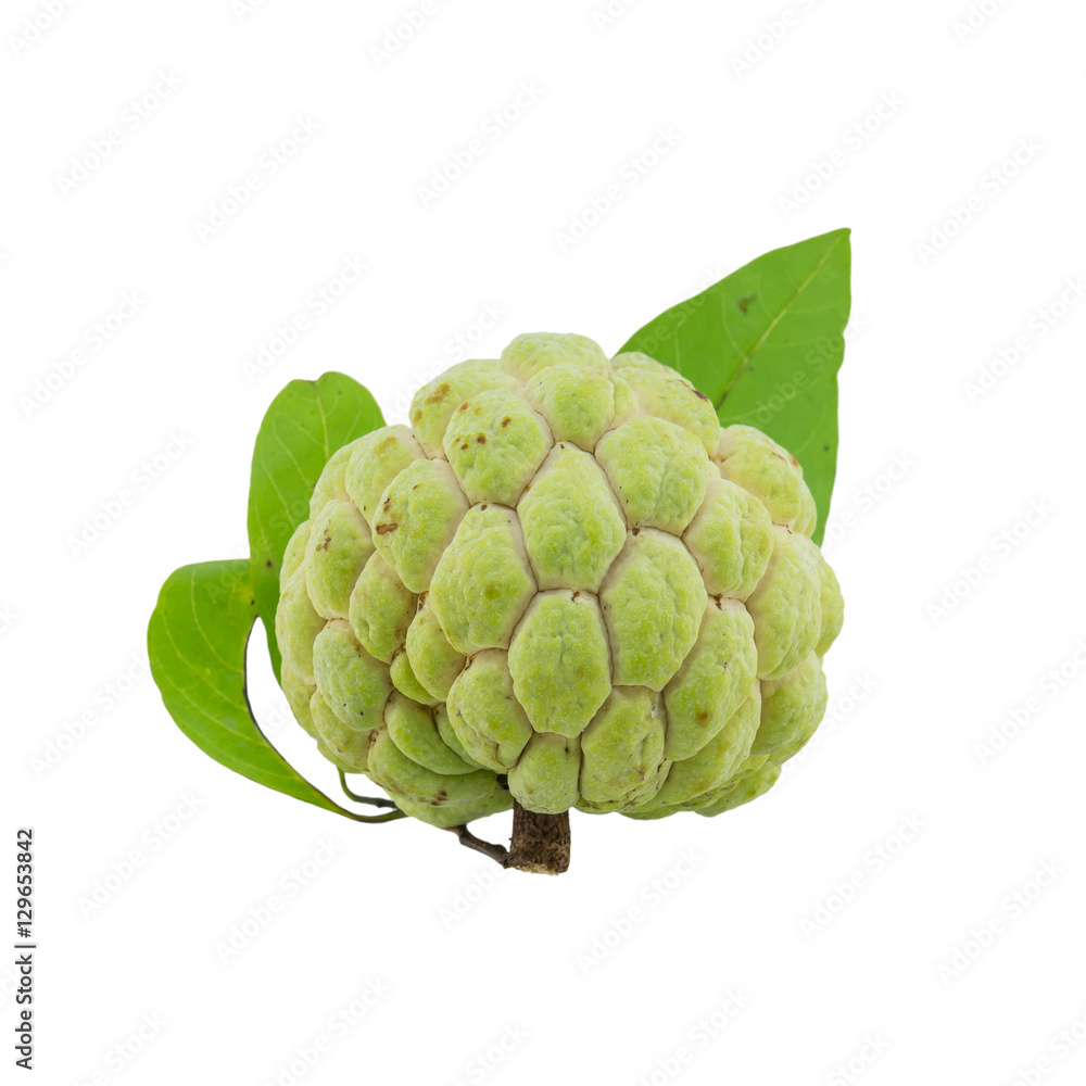 custard apple isolated on white background. custard apple isolated on white background.