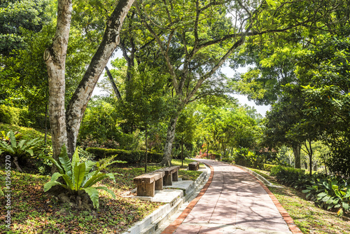 Perdana Botanical Garden, Tun Abdul Razak Heritage Park, Kuala Lumpur, Malaysia photo