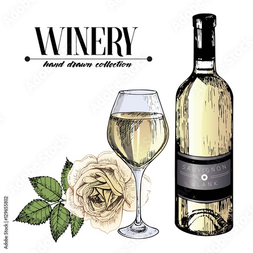 Vector set of white wine in engraved vintage style. Colored bottle, rose and glass. Isolated on white background.