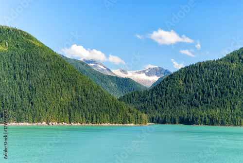 Alaska landscape with green forest, river moutains with the snow © be free