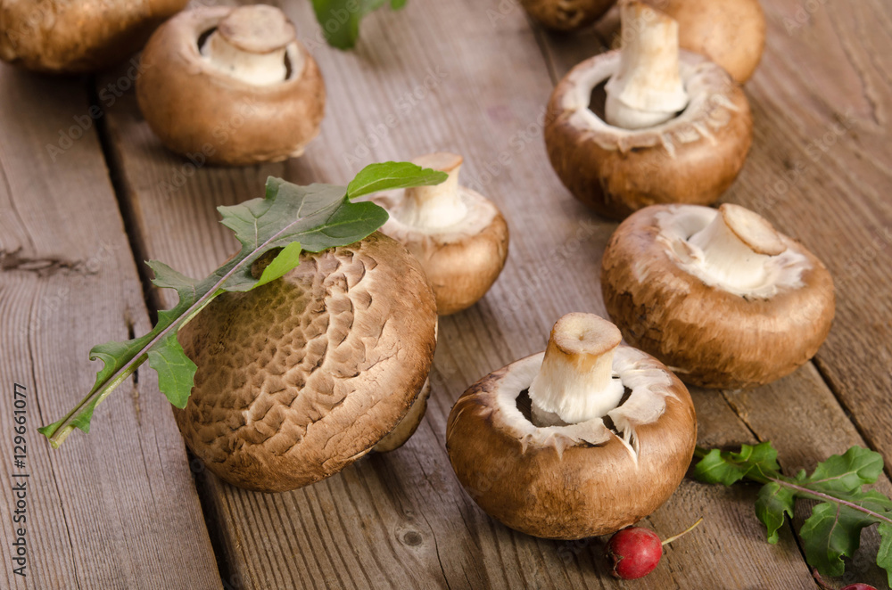 Fresh mushrooms with leaves of arugula Fresh mushrooms with leaves of arugula